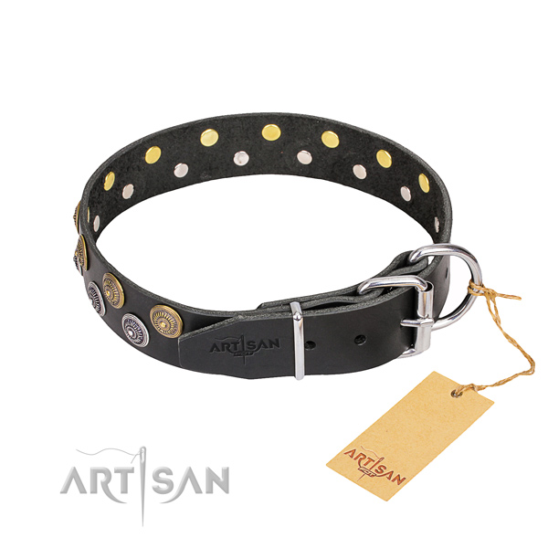 Everyday walking full grain genuine leather collar with studs for your canine