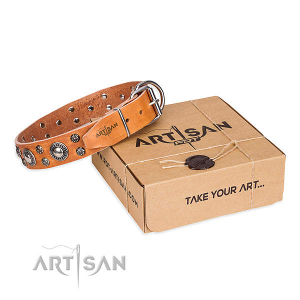 Awesome full grain leather dog collar for daily use