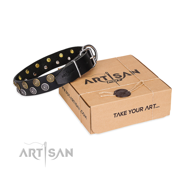 Full grain leather dog collar with embellishments for everyday use