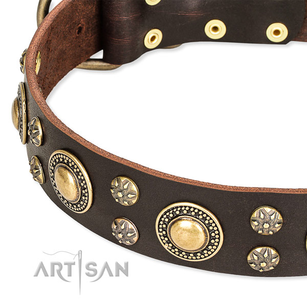 Leather dog collar with incredible adornments