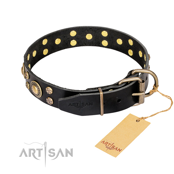 Walking full grain leather collar with embellishments for your four-legged friend