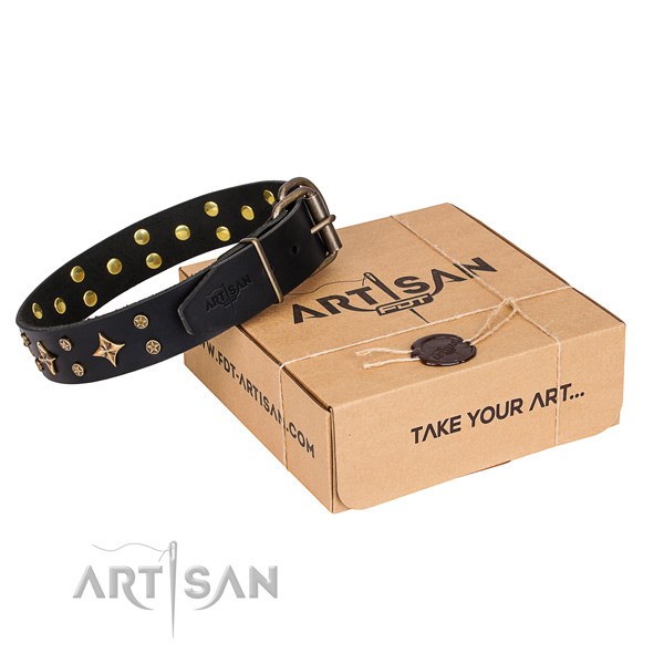 Adorned full grain natural leather dog collar for daily use