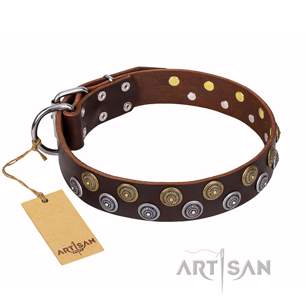 Stunning full grain natural leather dog collar for handy use