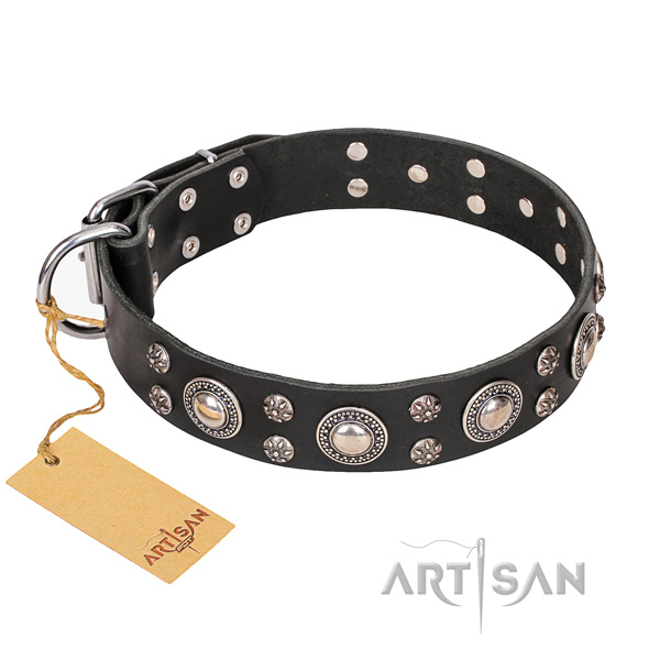 Resistant leather dog collar with reliable fittings