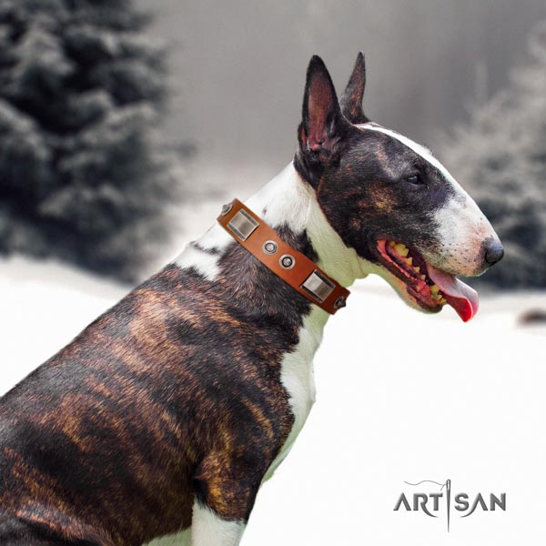 English Bull Terrier incredible full grain natural leather collar with corrosion resistant buckle