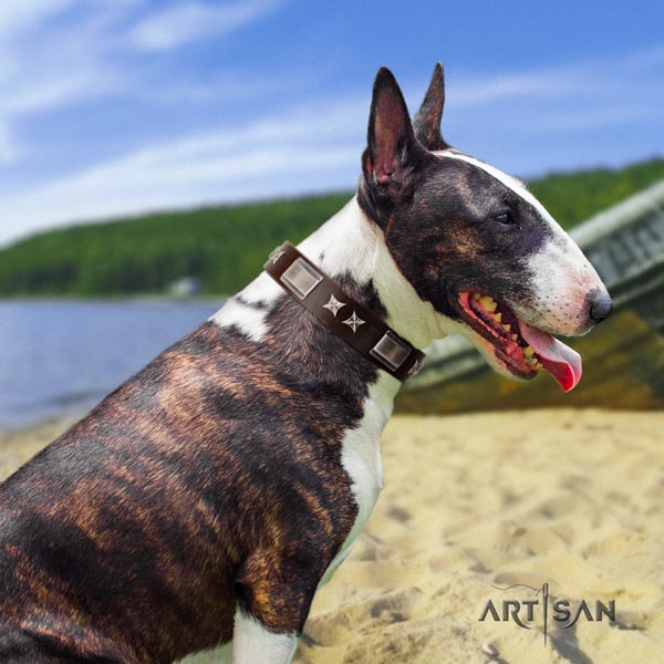 English Bull Terrier amazing full grain natural leather collar with rust resistant d-ring
