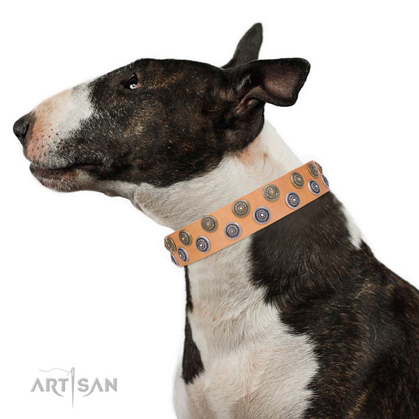 English Bull Terrier decorated full grain leather dog collar for everyday walking