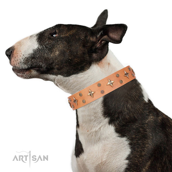 English Bull Terrier exquisite full grain natural leather dog collar for handy use