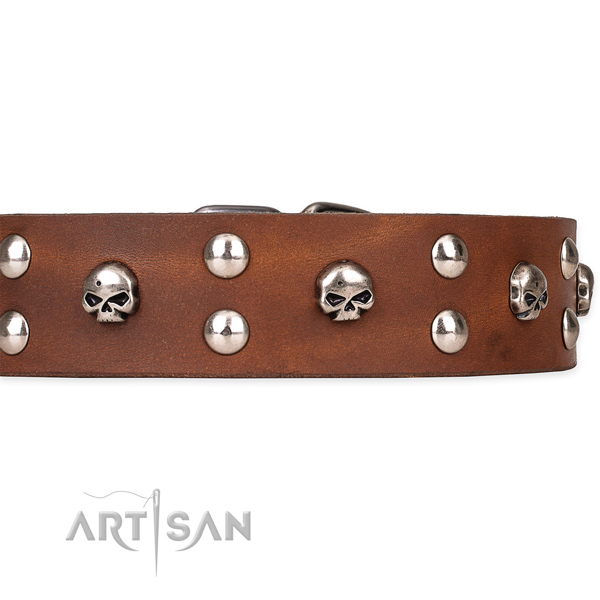 Genuine leather dog collar with worked out leather surface