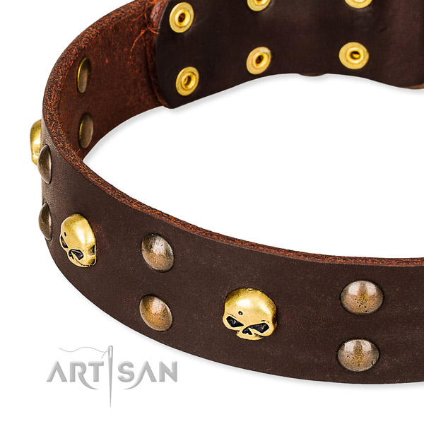 Leather dog collar with rounded edges for pleasant strolling