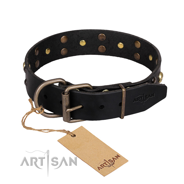 Casual leather dog collar with amazing decorations