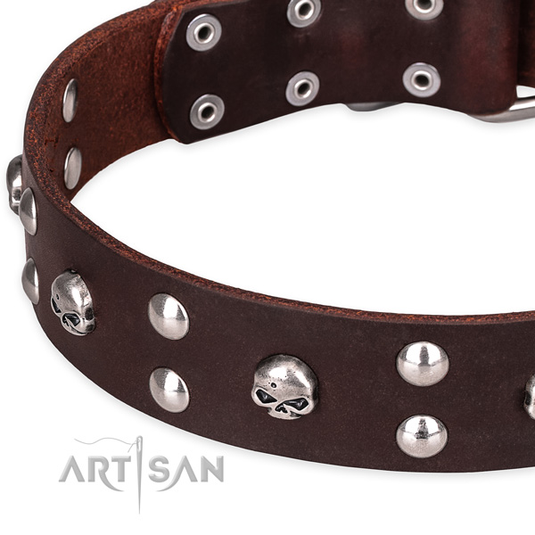 Everyday leather dog collar with fashionable embellishments