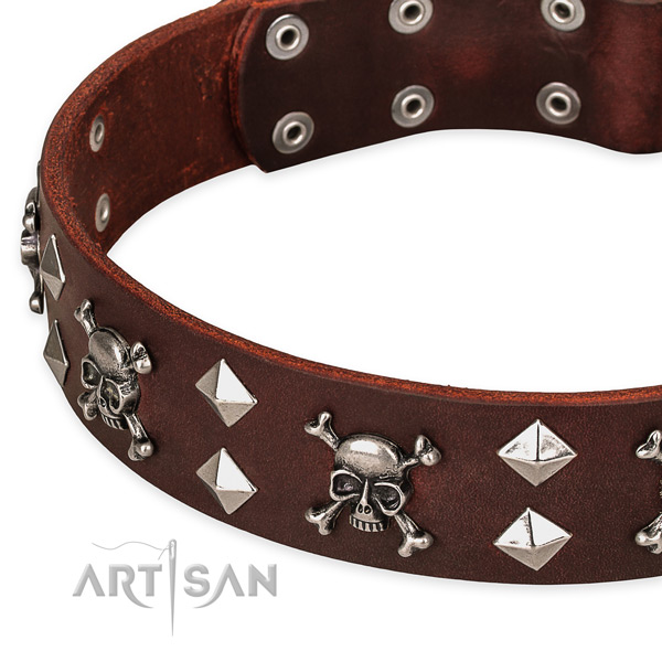 Day-to-day leather dog collar for stylish walks