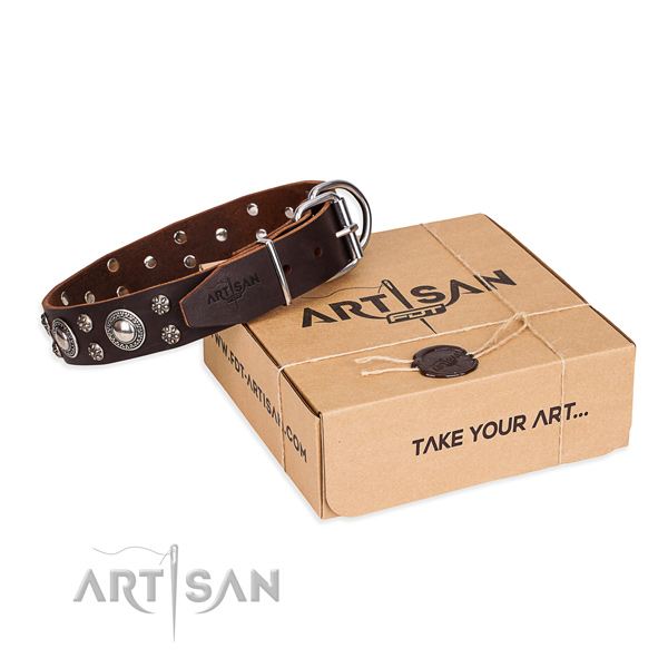 Casual leather dog collar with amazing studs