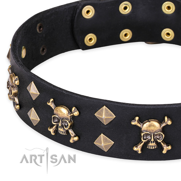 Casual style leather dog collar with astonishing adornments
