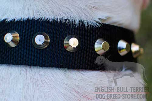 Stylish Rustless Studs On Nylon Dog Collar