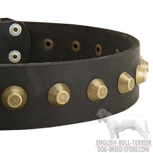 Studs on Adjustable Walking Leather Dog Collar for English Bull Terrier