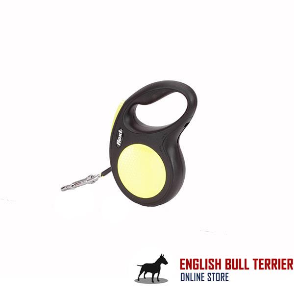Walking Total Safety Retractable Leash Neon Style