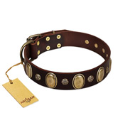 "Bronze Idol" FDT Artisan Brown Leather English Bull Terrier Collar with Eye-catching Ovals and Small Studs  "Bronze Idol" FDT Artisan Brown Leather English Bull Terrier Collar with Eye-catching Ovals and Small Studs