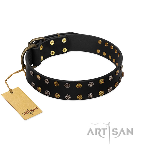 Unique genuine leather dog collar with reliable studs