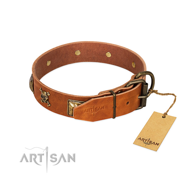 Impressive full grain natural leather dog collar with strong adornments