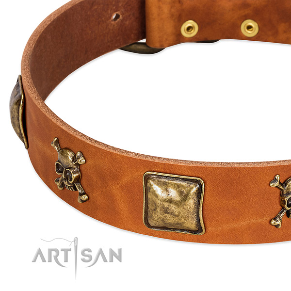 Amazing genuine leather dog collar with corrosion proof studs