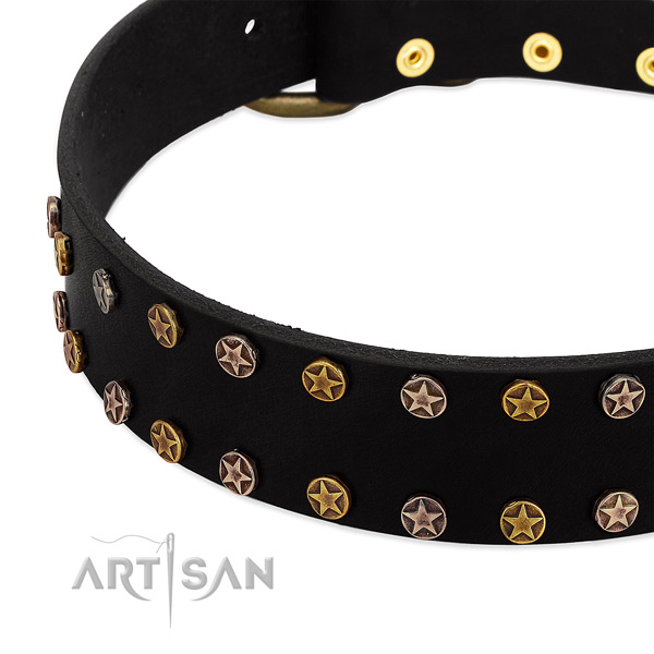 Amazing decorations on leather collar for your dog