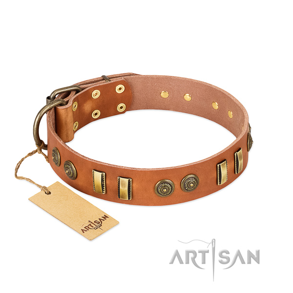 Corrosion proof fittings on full grain natural leather dog collar for your doggie