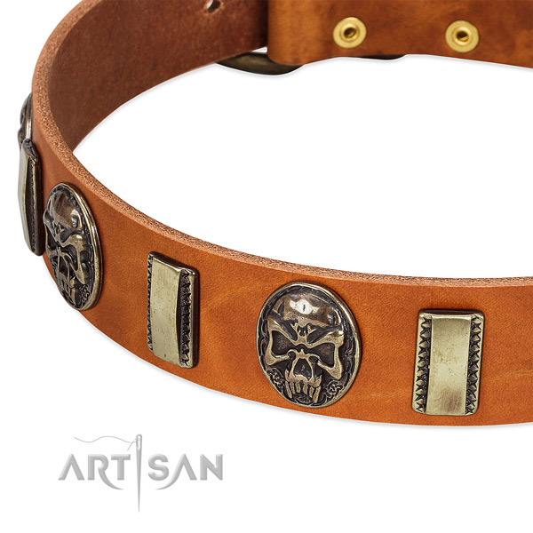 Strong D-ring on genuine leather dog collar for your canine