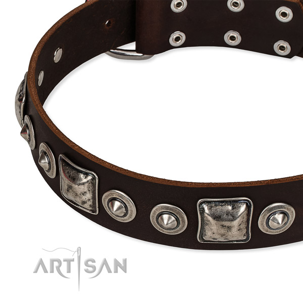 Natural genuine leather dog collar made of reliable material with adornments