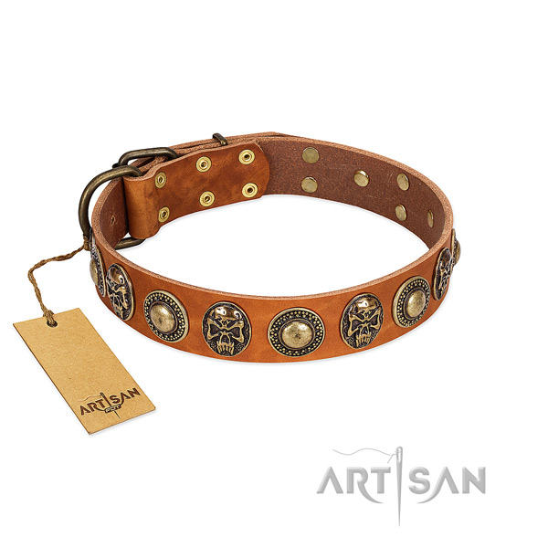 Easy to adjust full grain leather dog collar for stylish walking your canine