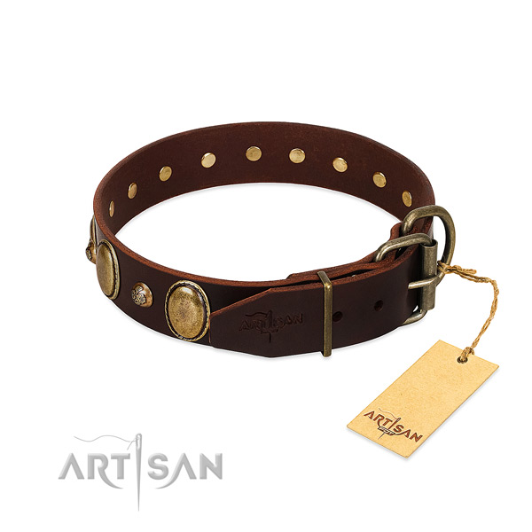 Corrosion proof fittings on full grain natural leather collar for everyday walking your dog