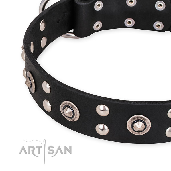 Full grain natural leather collar with rust resistant fittings for your stylish dog