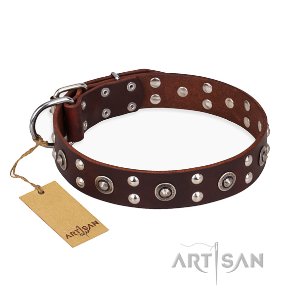 Everyday walking trendy dog collar with reliable traditional buckle