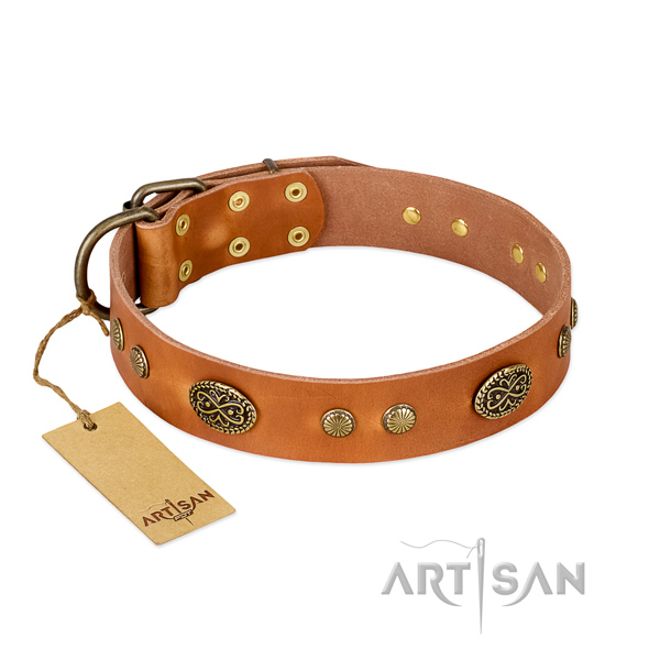 Rust-proof hardware on leather dog collar for your pet