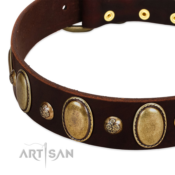 Natural leather dog collar with exceptional embellishments
