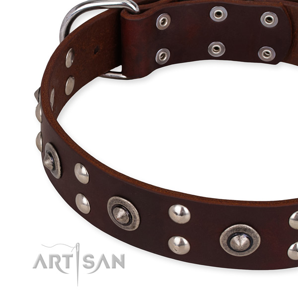 Genuine leather collar with corrosion resistant buckle for your handsome canine