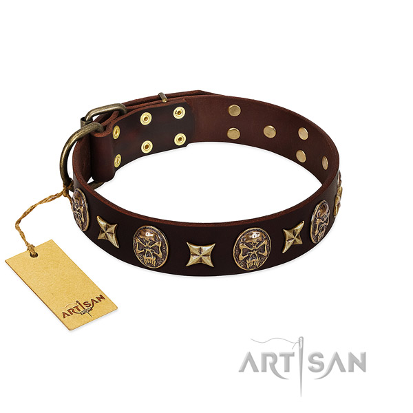 Embellished full grain genuine leather collar for your canine