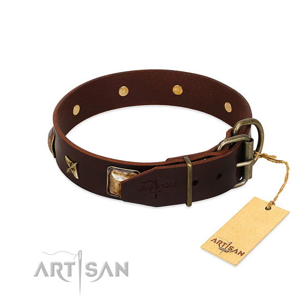 Full grain leather dog collar with corrosion proof hardware and studs