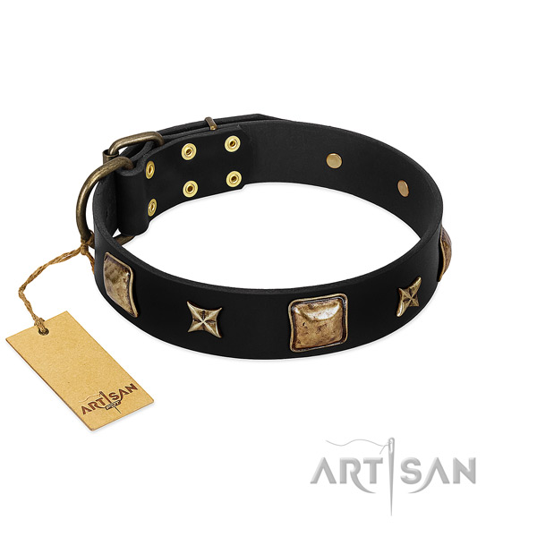 Full grain natural leather dog collar of high quality material with inimitable decorations