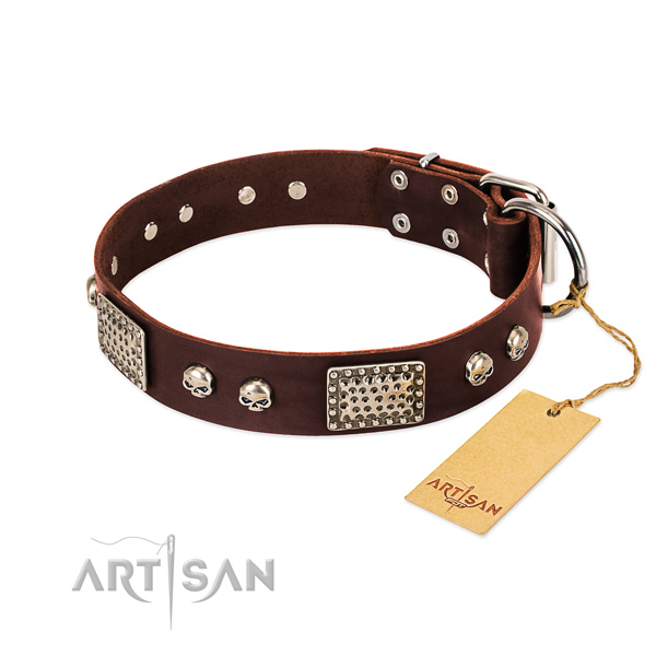 Easy to adjust genuine leather dog collar for stylish walking your dog