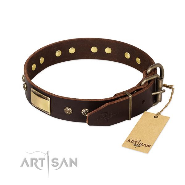 Studded full grain leather collar for your dog