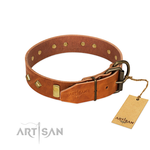 Fancy walking full grain genuine leather dog collar with designer embellishments