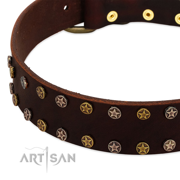 Daily walking full grain natural leather dog collar with stylish design studs