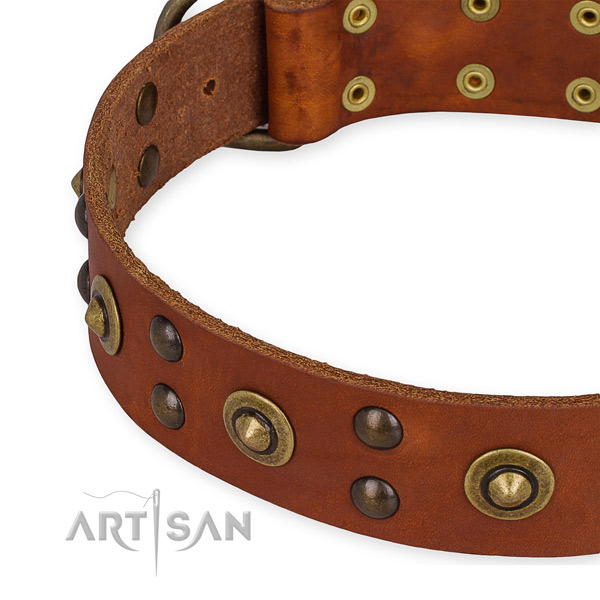 Full grain leather collar with corrosion resistant traditional buckle for your handsome doggie