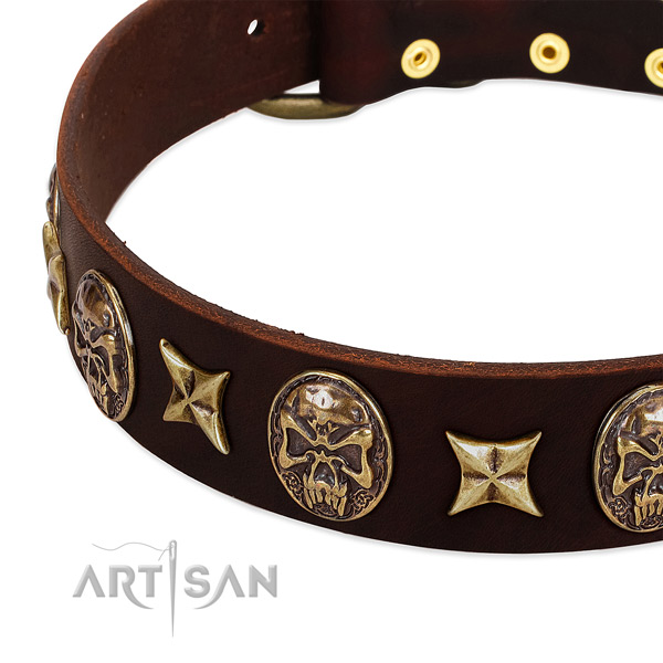 Strong embellishments on full grain genuine leather dog collar for your pet