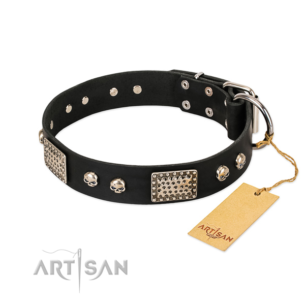Adjustable full grain leather dog collar for walking your pet
