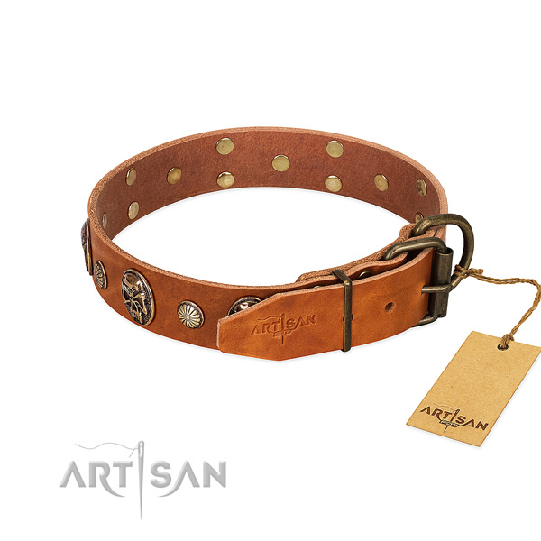 Rust resistant buckle on natural genuine leather collar for basic training your dog