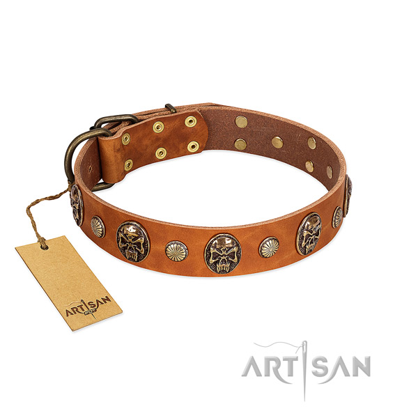 Studded full grain genuine leather dog collar for comfy wearing