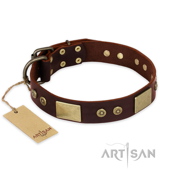 Exceptional full grain natural leather dog collar for daily walking